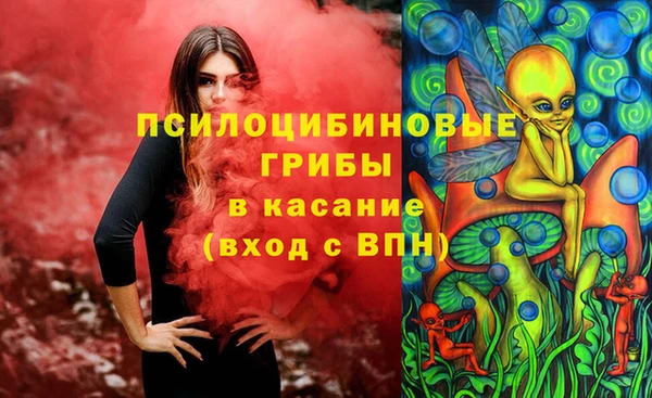 тгк Медногорск