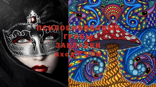 шишки Апатиты