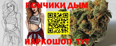 крисы Аргун