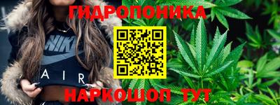 шишки Апшеронск