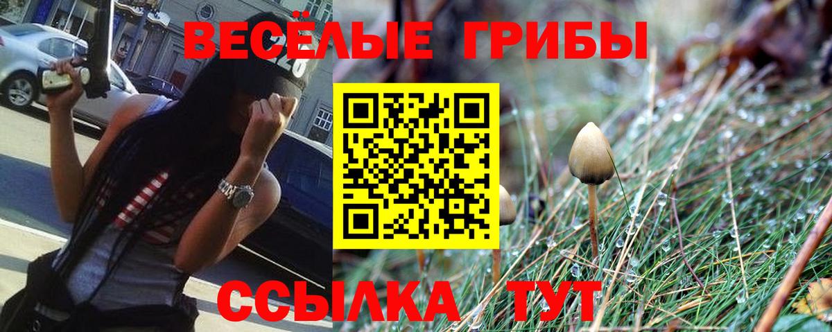 Псилоцибиновые грибы Magic Shrooms  Вход с VPN  Белорецк 