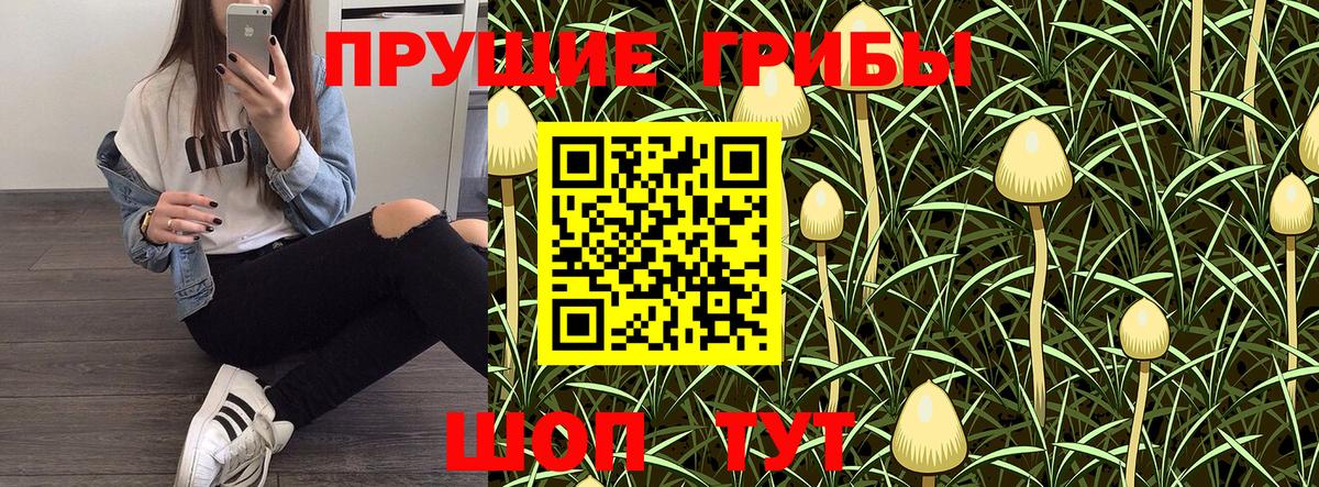 Галлюциногенные грибы MAGIC MUSHROOMS  Псилоцибиновые грибы прущие грибы  что такое   Белорецк 